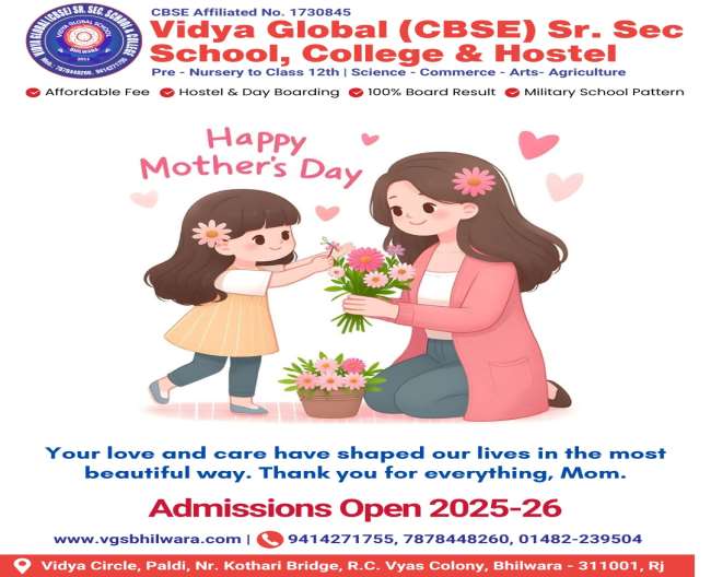 Vidya Global School Bhilwara - Best CBSE School In Bhilwara